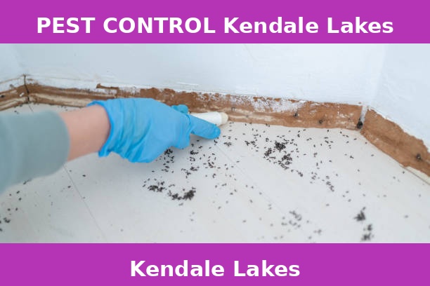 PEST CONTROL Kendale Lakes